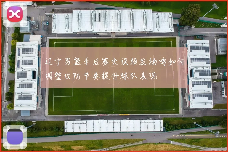辽宁男篮季后赛失误频发杨鸣如何调整攻防节奏提升球队表现