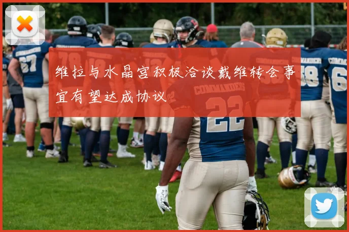 维拉与水晶宫积极洽谈戴维转会事宜有望达成协议